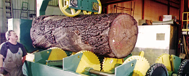 TS Sawmill & Lumber Handling